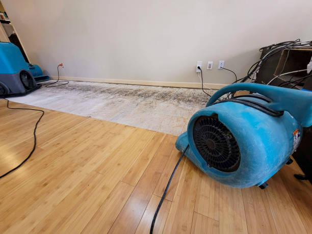 Professional Water Extraction technician working in Lacrosse, WA